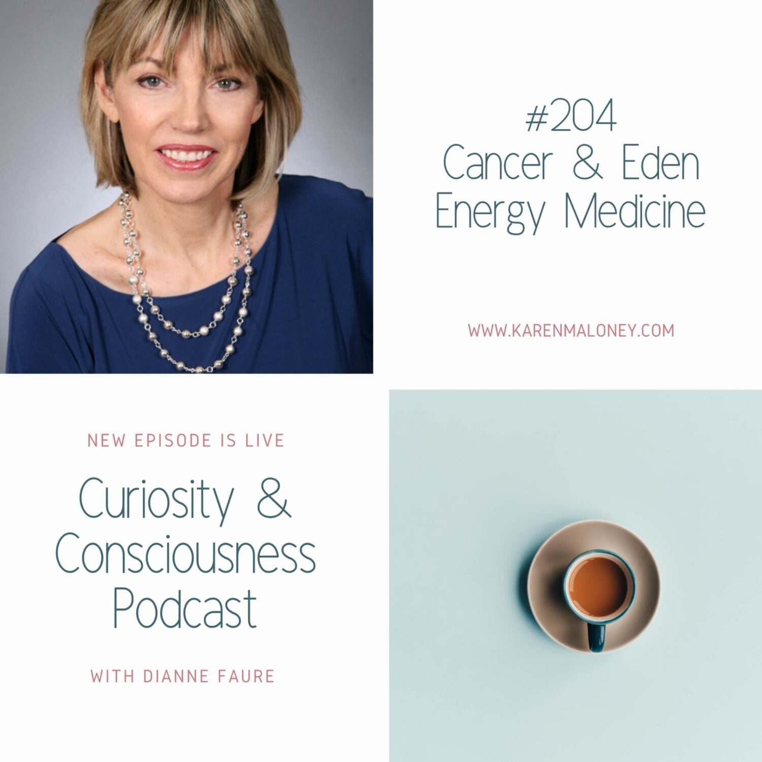 Dianne Faure podcast